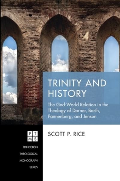 Cover for Scott P. Rice · Trinity and History (Paperback Book) (2022)