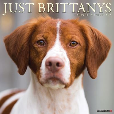 Cover for Willow Creek Press · Just Brittanys 2022 Wall Calendar (Dog Breed) [Edizione: Regno Unito] (Book) (2021)