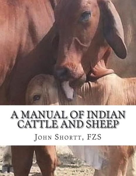 Cover for Fzs John Shortt · A Manual of Indian Cattle and Sheep (Paperback Book) (2018)