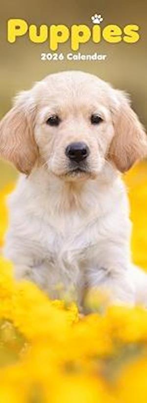 Cover for Puppies Slim Calendar 2026  Dog Breed Slimline Calendar - 12 Month (Calendar) (2025)