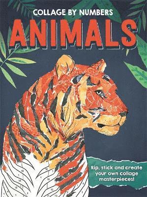 Cover for Collage By Numbers Animals (Book)