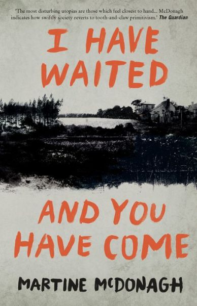 Cover for Martine McDonagh · I Have Waited, and You Have Come (Paperback Book) (2012)