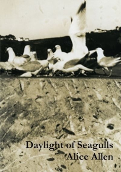 Cover for Alice Allen · Daylight of Seagulls (Paperback Book) (2019)