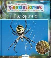 Cover for Jens Poschadel · Meine große Tierbibliothek: Die Spinne (Gebundenes Buch) (2021)