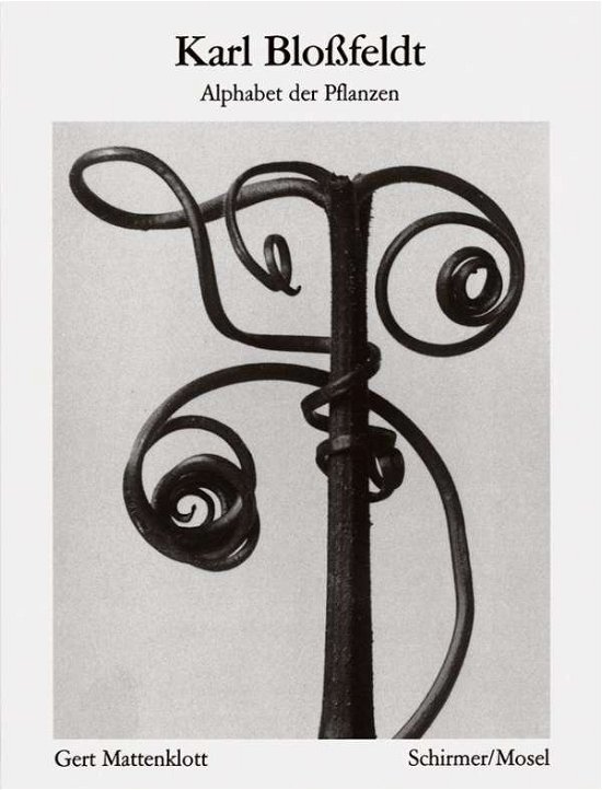 Cover for Bloßfeldt · Karl Blossfeldt: Alphabet of Plants (Paperback Book) [3 New edition] (2020)