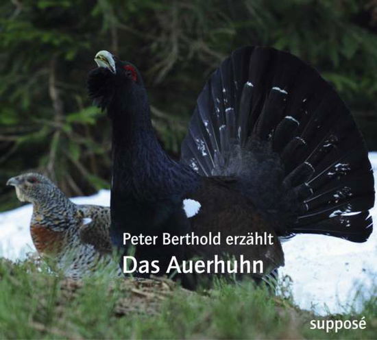 Cover for Berthold · Das Auerhuhn,2CD-A (Book)