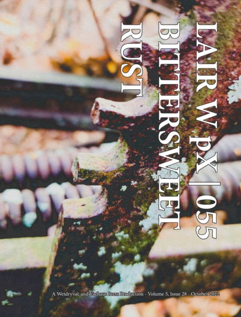 Cover for Wetdryvac · LAIR W pX 055 Bittersweet Rust (Inbunden Bok) (2024)