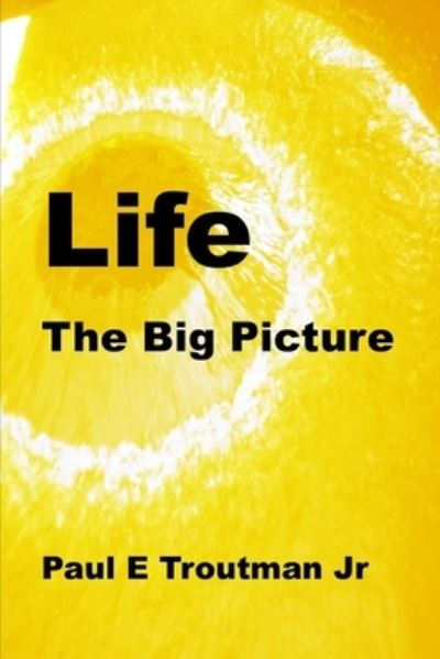 Cover for Troutman, Paul E, Jr · Life: The Big Picture (Paperback Book) (2020)