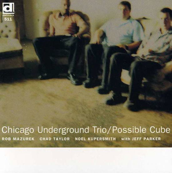 Possible Cube - Chicago Underground Trio - Muzyka - DELMARK - 0038153051129 - 22 marca 1999