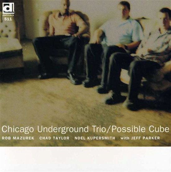 Cover for Chicago Underground Trio · Possible Cure (CD) (1999)