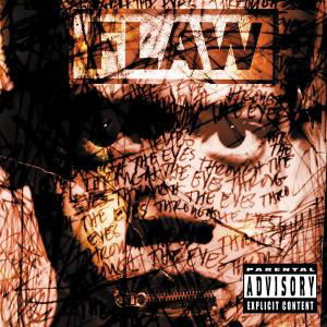 Cover for Flaw · Through the Eyes (CD) [Enhanced edition] (2001)