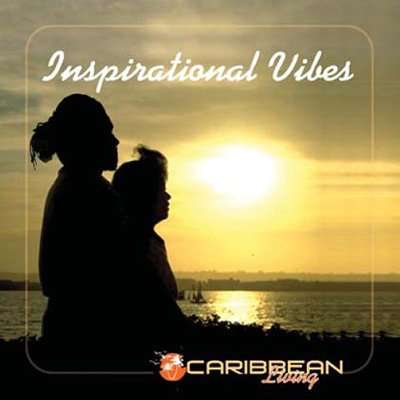 Cover for Inspirational Vibes / Various (CD) (2007)