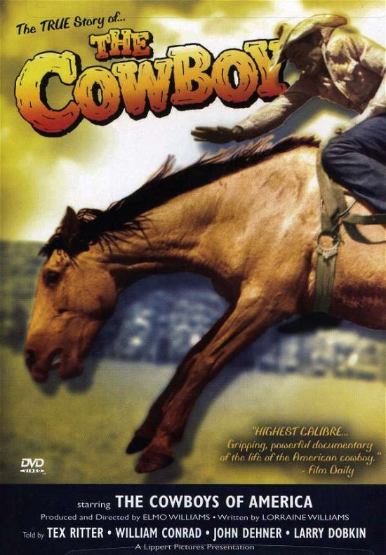 Cover for Cowboy (DVD) (2006)