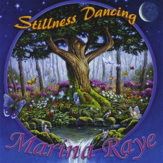 Cover for Marina Raye · Stillness Dancing (CD) (2016)