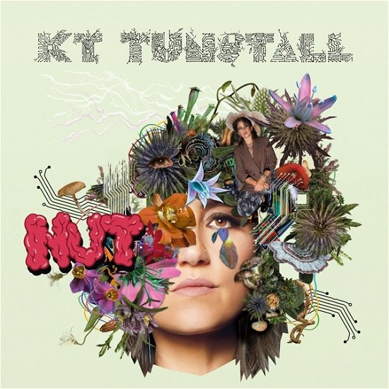 Cover for Kt Tunstall · Nut (LP) (2022)