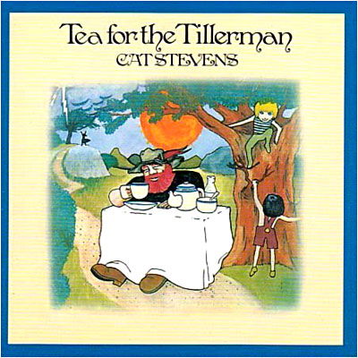 Tea for the Tillerman - Cat Stevens - Musik - ISLAND RECORDS - 0602517753129 - 29. juli 2008