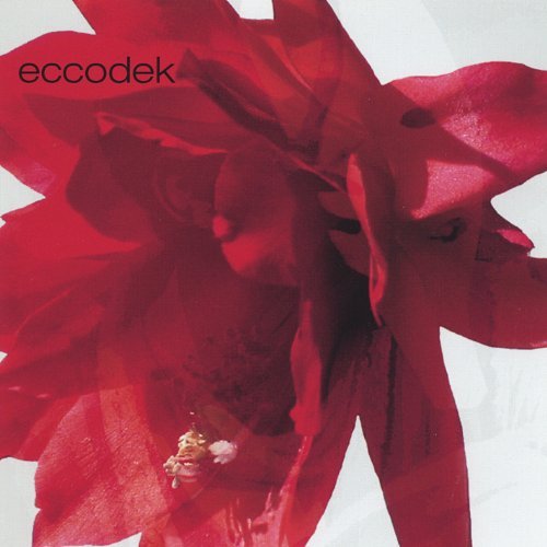 Cover for Eccodek · More Africa in Us (CD) (2004)