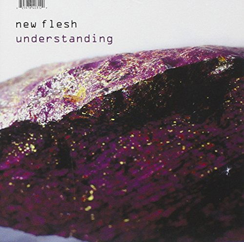 Cover for New Flesh · Understanding (CD) (2002)