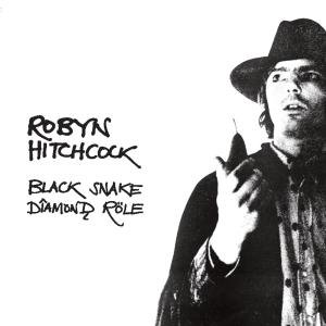 Cover for Robyn Hitchcock · Black Snake Diamond Role (CD) (2007)