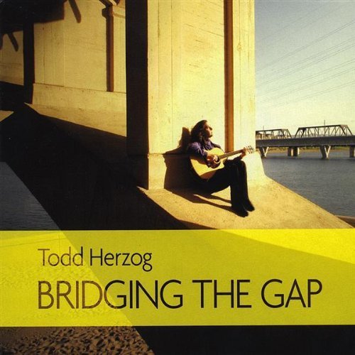 Cover for Todd Herzog · Bridging the Gap (CD) (2008)