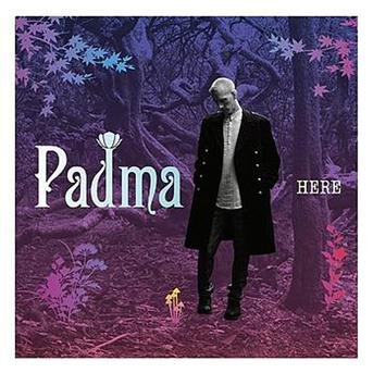 Cover for Padma · Here (CD) (2008)