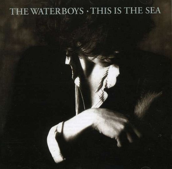 Cover for Waterboys · This is the Sea (CD) [Bonus CD edition] (2004)