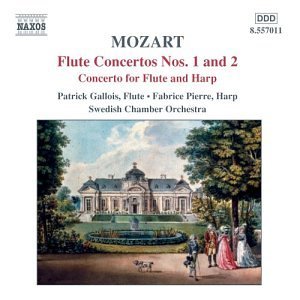 Flute Concertos - Wolfgang Amadeus Mozart - Musiikki - NAXOS - 0747313201129 - maanantai 2. helmikuuta 2004