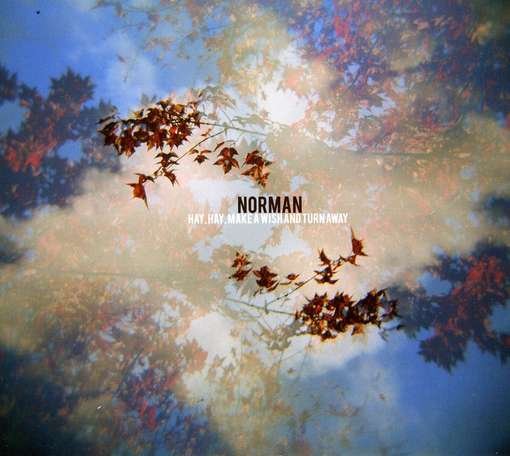 Cover for Norman · Hay Hay Make a Wish &amp; Turn Away (CD) (2010)