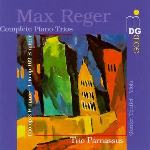 Complete Piano Trios - Reger,max / Teuffel - Musique - MDG - 0760623075129 - 21 avril 1998