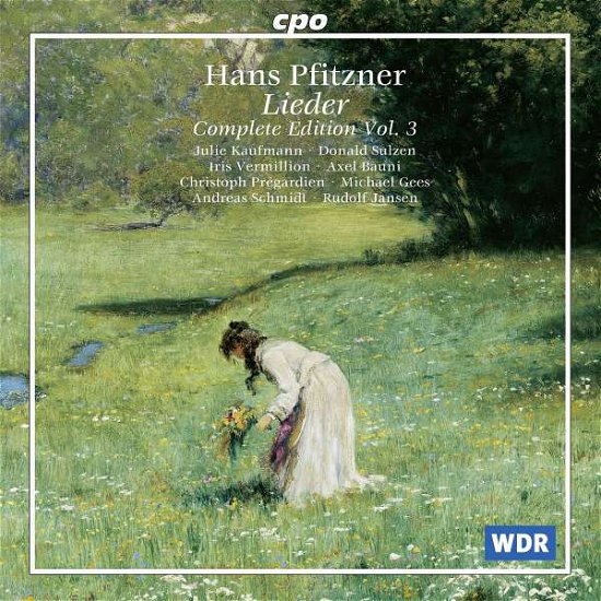 Cover for Pfitzner / Kaufman / Sulzen / Jansen · Lieder Complete Edition 3 (CD) (1999)