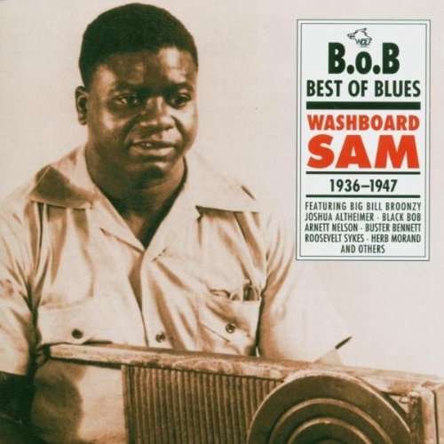 Best Of Blues Washboard Sam - Washboard Sam - Musikk - WOLF RECORDS - 0799582200129 - 11. mai 2009
