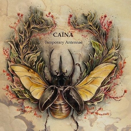 Cover for Caina · Temporary Antennae (CD) (2008)