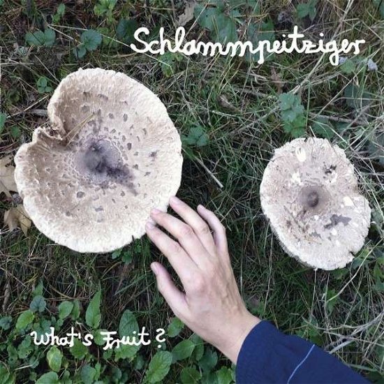 Cover for Schlammpeitziger · What's Fruit (CD) (2023)
