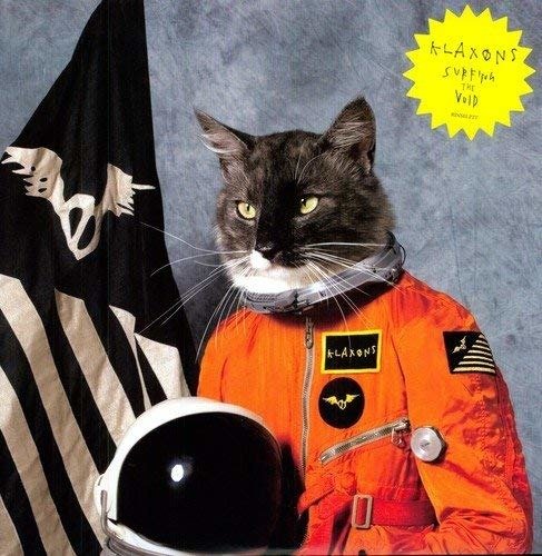 Cover for Klaxons · Surfing the Void (CD) (2015)