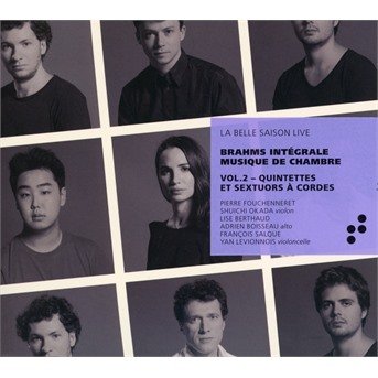 Cover for Brahms / Fouchenneret / Levionnois · Integrale Musique De Chambre 2 (CD) (2018)