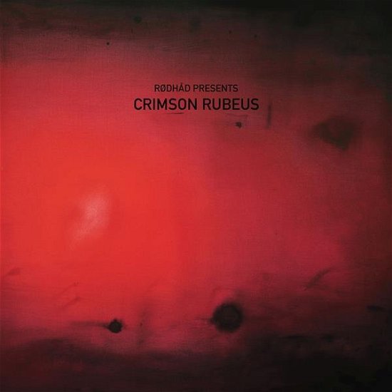 Cover for Various Artists · Rodhad Presents Crimson Rubeu (LP) (2024)