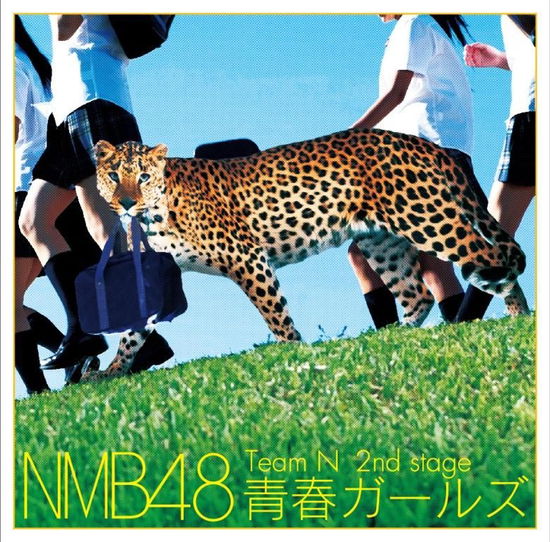 Cover for Nmb48 · Team N 2nd Stage Seishun Girls (CD) [Japan Import edition] (2014)