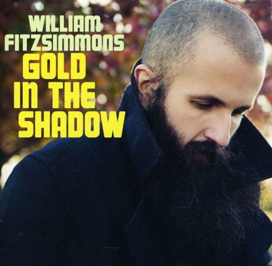 Gold In The - William Fitzsimmons - Music - NETTWERK - 5037703092129 - February 15, 2011