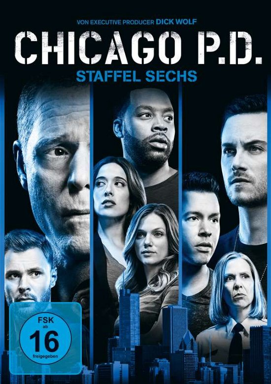 Cover for Jason Beghe,jon Seda,laroyce Hawkins · Chicago P.d.-season 6 (DVD) (2019)