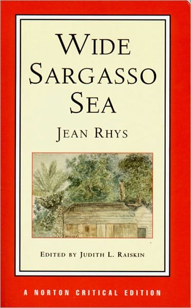 Cover for Jean Rhys · Wide Sargasso Sea - Norton Critical Edition (Taschenbuch) [New edition] (1999)