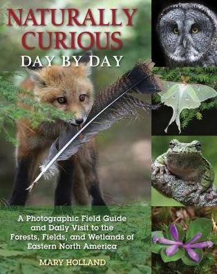 Cover for Mary Holland · Naturally Curious Day by Day: A Photographic Field Guide and Daily Visit to the Forests, Fields, and Wetlands of Eastern North America (Paperback Book) (2017)