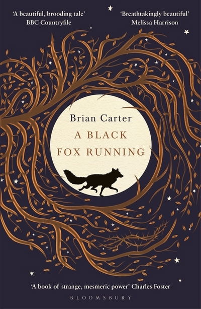 Cover for Brian Carter · A Black Fox Running (Pocketbok) (2019)