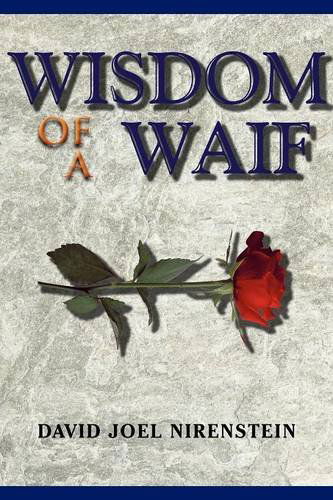Wisdom of a Waif - David Joel Nirenstein - Books - Xlibris - 9781477119129 - August 22, 2012