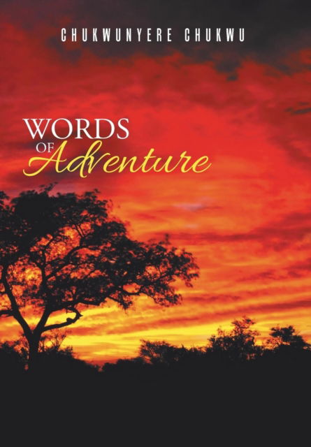 Cover for Chukwunyere Chukwu · Words of Adventure (Hardcover Book) (2016)