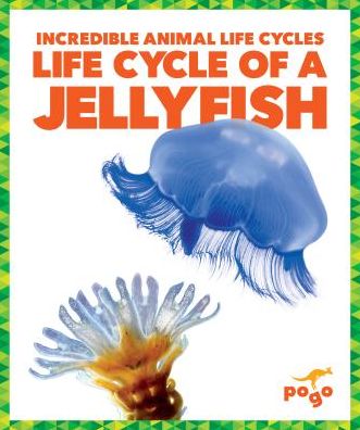 Cover for Karen Latchana Kenney · Life Cycle of a Jellyfish - Incredible Animal Life Cycles (Hardcover Book) (2019)