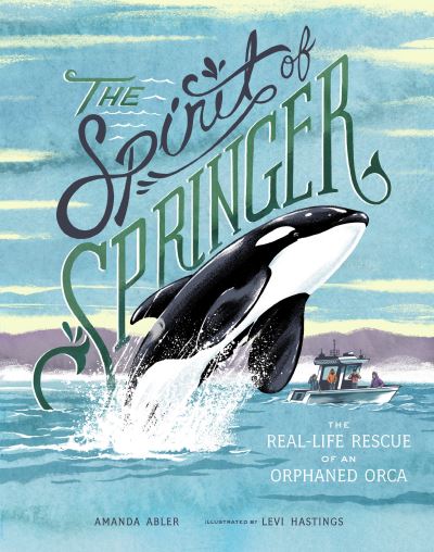 Cover for Amanda Abler · The Spirit of Springer: The Real-Life Rescue of an Orphaned Orca (Hardcover Book) (2020)