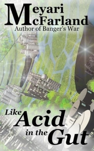 Cover for Meyari McFarland · Like Acid in the Gut (Pocketbok) (2021)