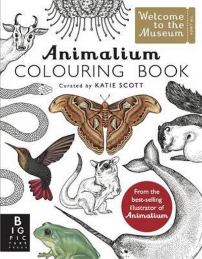 Animalium Colouring Book - Welcome To The Museum - Kate Baker - Livros - Templar Publishing - 9781783706129 - 11 de agosto de 2016