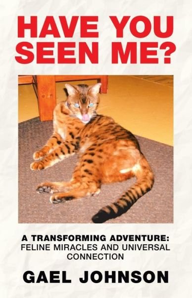 Cover for Gael Johnson · Have You Seen Me? (Paperback Bog) (2019)