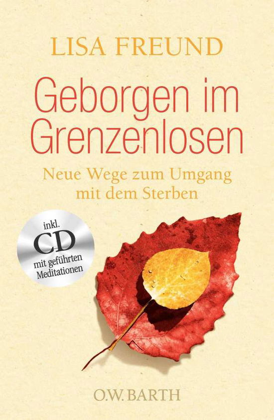 Cover for Freund · Geborgen im Grenzenlosen (Book)